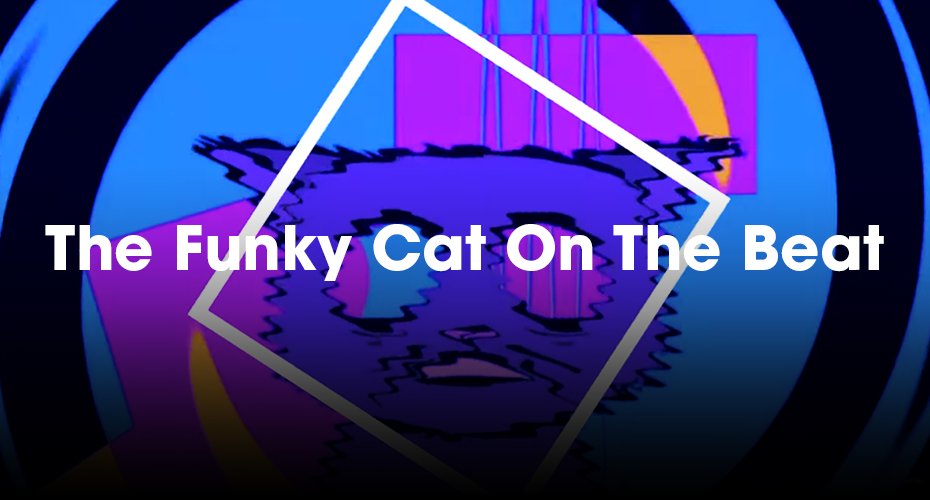 Funky cat music video